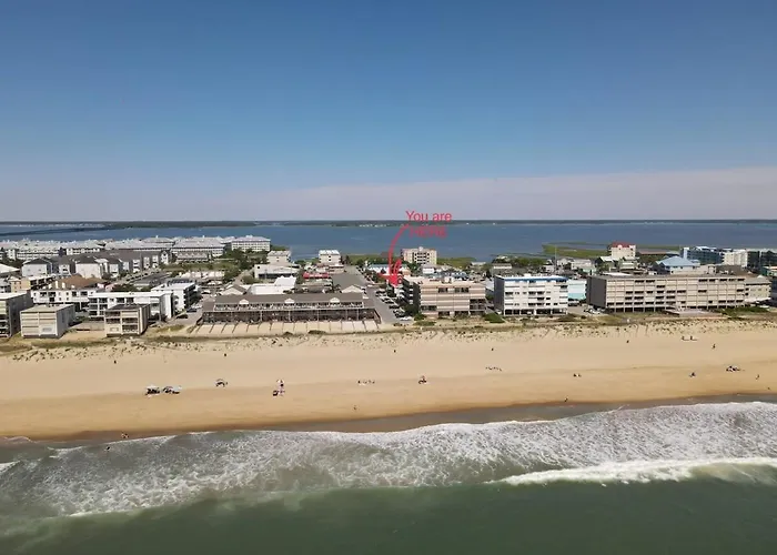 Modern 4br Ocean Block Walk To The